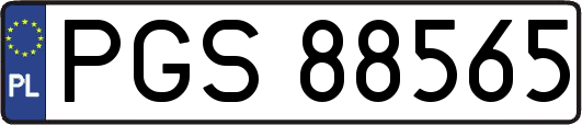 PGS88565