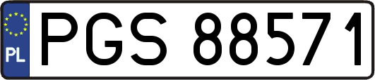 PGS88571