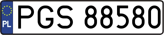 PGS88580
