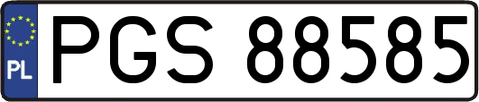 PGS88585