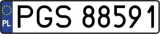 PGS88591