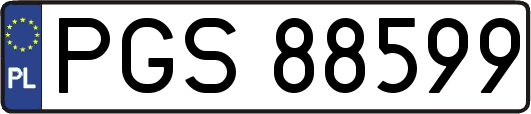 PGS88599