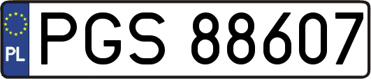 PGS88607