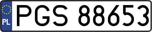 PGS88653