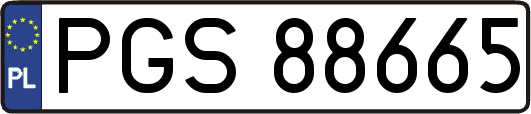 PGS88665