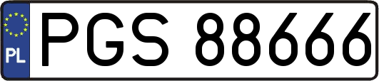 PGS88666