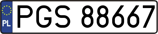 PGS88667