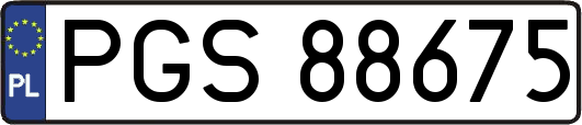 PGS88675