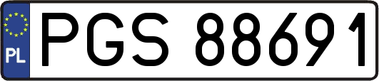 PGS88691
