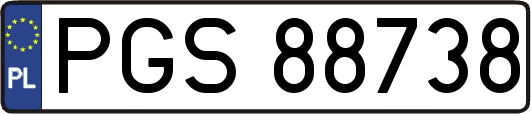 PGS88738
