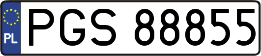 PGS88855