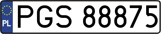PGS88875
