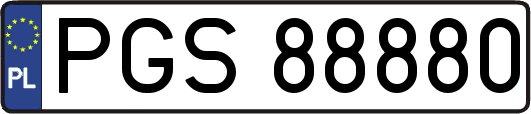 PGS88880