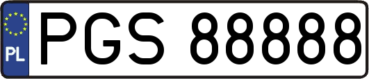 PGS88888