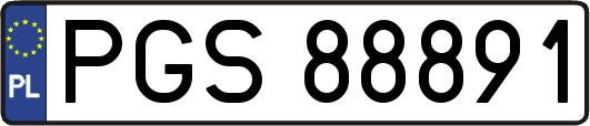 PGS88891