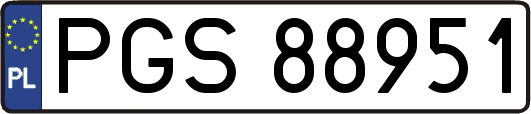 PGS88951
