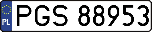 PGS88953