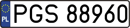PGS88960