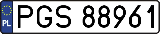 PGS88961