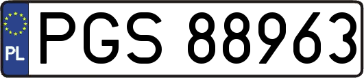 PGS88963