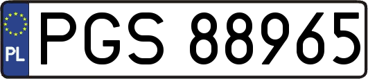 PGS88965