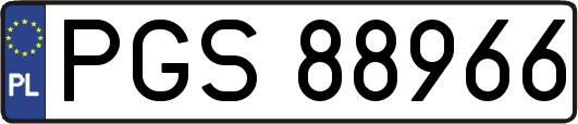 PGS88966