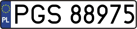 PGS88975