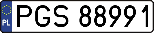 PGS88991