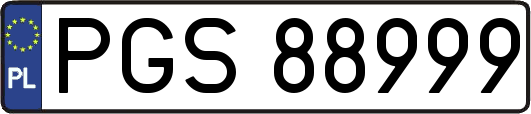 PGS88999