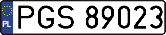 PGS89023