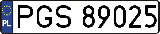 PGS89025