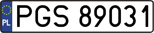 PGS89031
