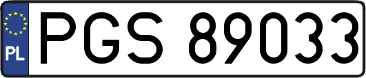 PGS89033