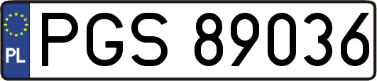 PGS89036
