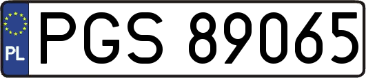 PGS89065