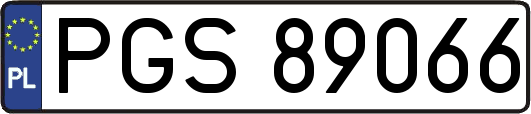 PGS89066