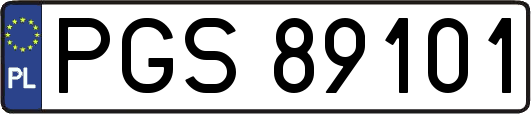 PGS89101