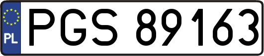 PGS89163