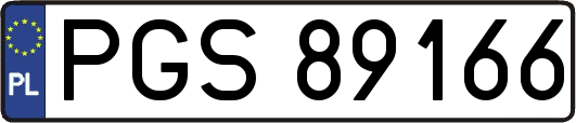 PGS89166