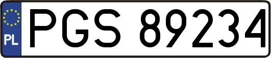 PGS89234