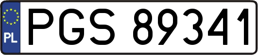 PGS89341