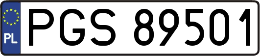 PGS89501