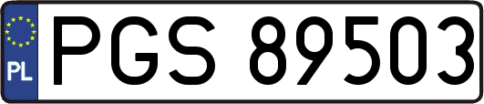 PGS89503