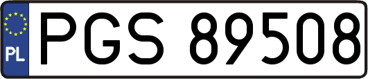 PGS89508