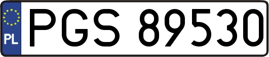 PGS89530