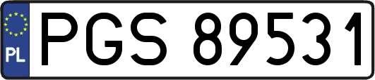 PGS89531