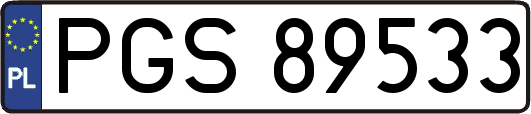 PGS89533