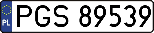PGS89539