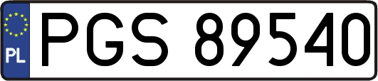PGS89540
