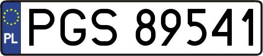 PGS89541